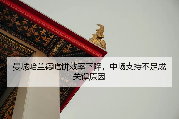 man-cheng-ha-lan-de-chi-bing-xiao-lv-xia-jiang-zhong-chang-zhi-chi-bu-zu-cheng-guan-jian-yuan-yin-2-349.jpg