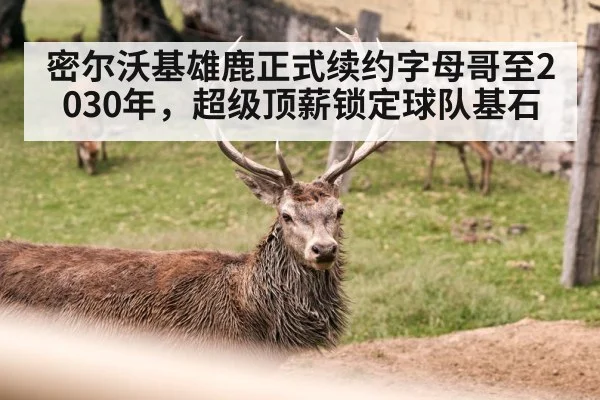 密尔沃基雄鹿正式续约字母哥至2030年，超级顶薪锁定球队基石